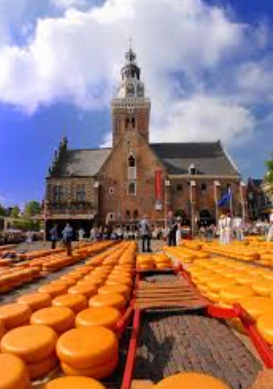 Dirkshorn Huisje Britt Met Grote Tuin En Veel Privacy מראה חיצוני תמונה