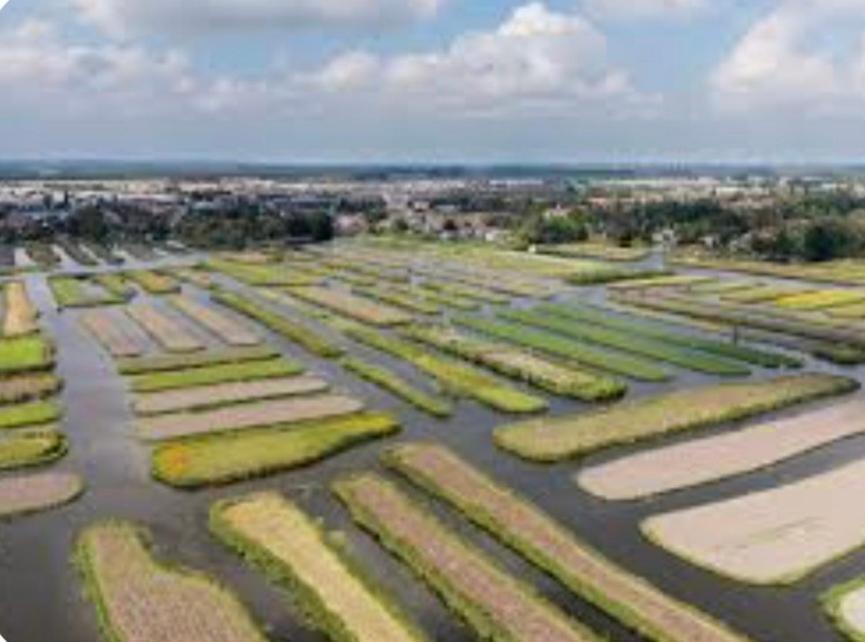 Dirkshorn Huisje Britt Met Grote Tuin En Veel Privacy מראה חיצוני תמונה